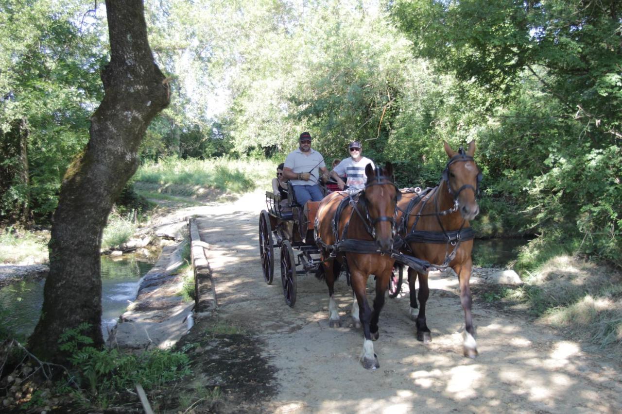 Le Mas De La Coste Saint-Sauveur-de-Cruzieres Ngoại thất bức ảnh