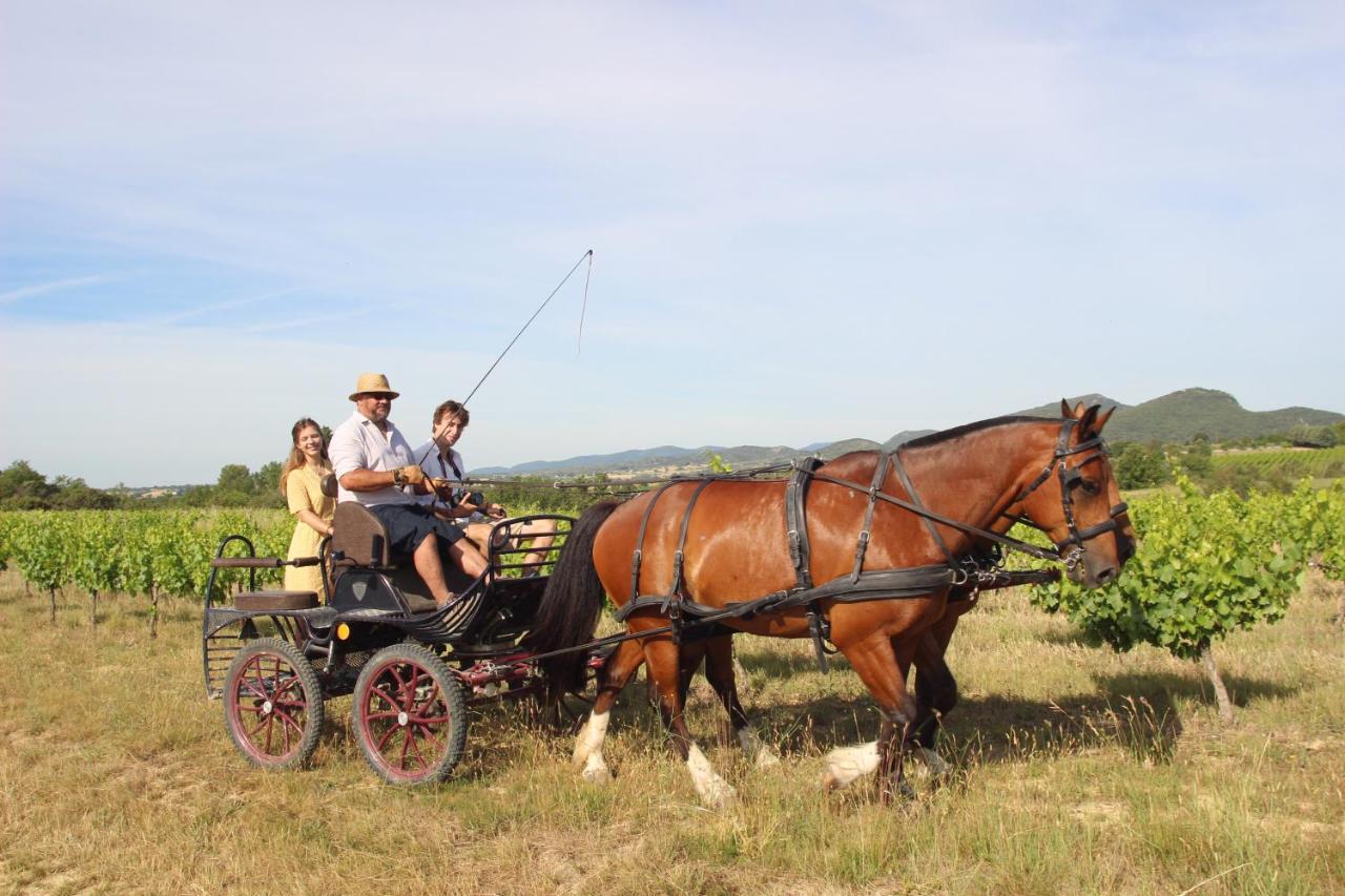Le Mas De La Coste Saint-Sauveur-de-Cruzieres Ngoại thất bức ảnh